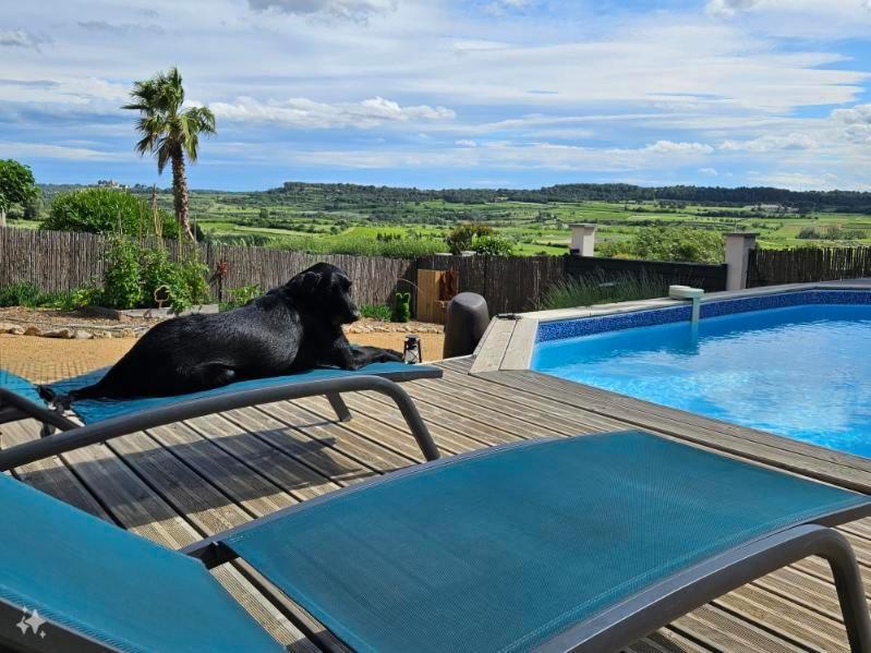 Domaine Du Chene Hotel Campagnan Kültér fotó