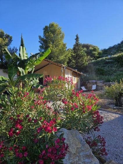 Domaine Du Chene Hotel Campagnan Kültér fotó