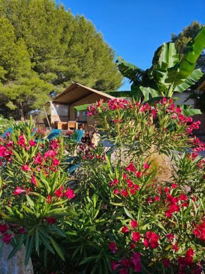 Domaine Du Chene Hotel Campagnan Kültér fotó